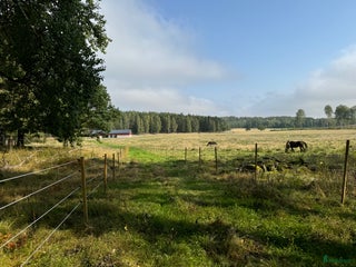 stallplats Johannesdal Hästcenter i Norrköping - Annons 13