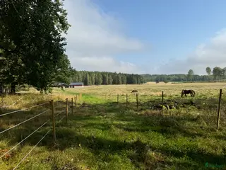 stallplats Johannesdal Hästcenter i Norrköping - Annons 18