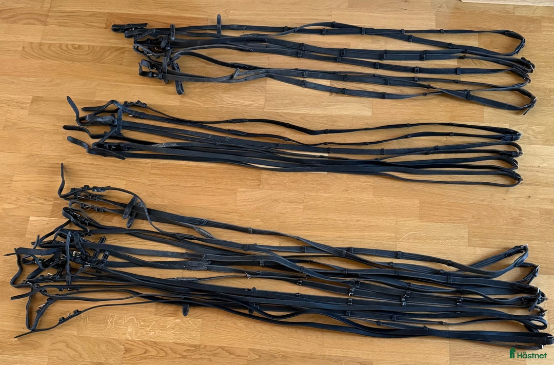 Övrig Hästutrustning hästutrustning till salu: Gjordar, martingal, tyglar, mm i Vikingstad - Annons 3