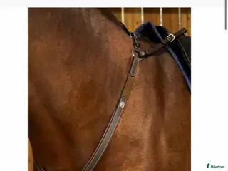Övrig Hästutrustning hästutrustning Förbygel med brygga och vita sömmar - Annons 2