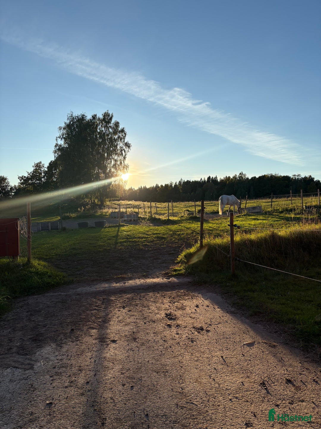  stallplats finnes: Stallplats finns för ett sto från 1 december  i Vikingstad - Annons 2