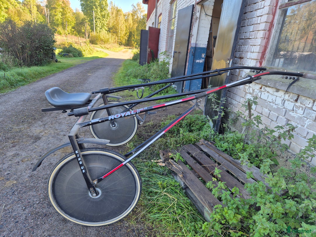 Travsulkys trav till salu: Royal King US ST  i Hallstavik - Annons 3