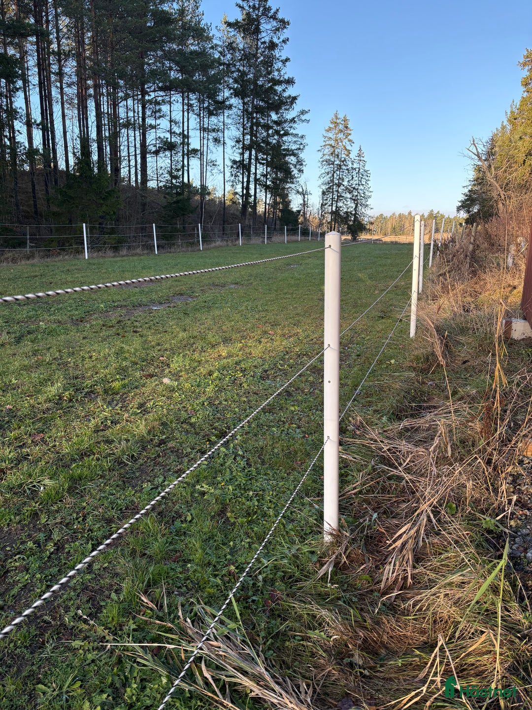 Stallinredning, stängsel & gård övrig utrustning till salu: Equisafe elrepsstolpar i Vikbolandet - Annons 2