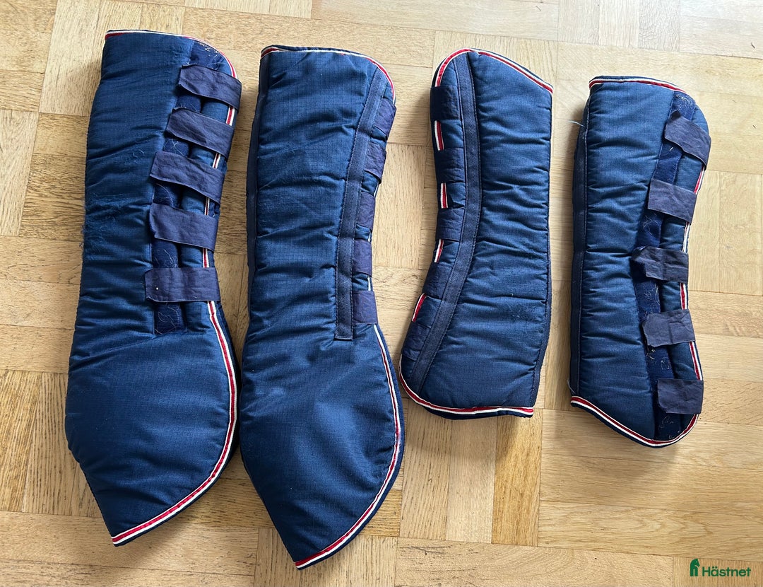 Benskydd hästutrustning till salu: Transportskydd i Bengtsfors - Annons 1