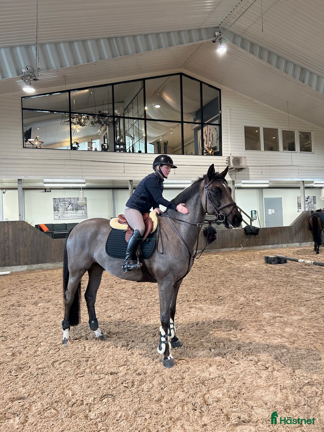 Hoppning hästar till salu: Fantastisk SWB valack i Billdal - Annons 2