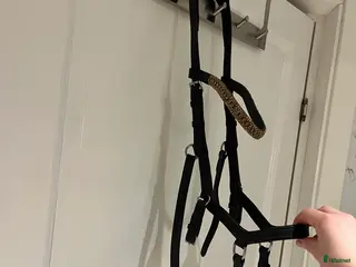 Träns hästutrustning Rambo Micklem träns str full i Värnamo - Annons 4