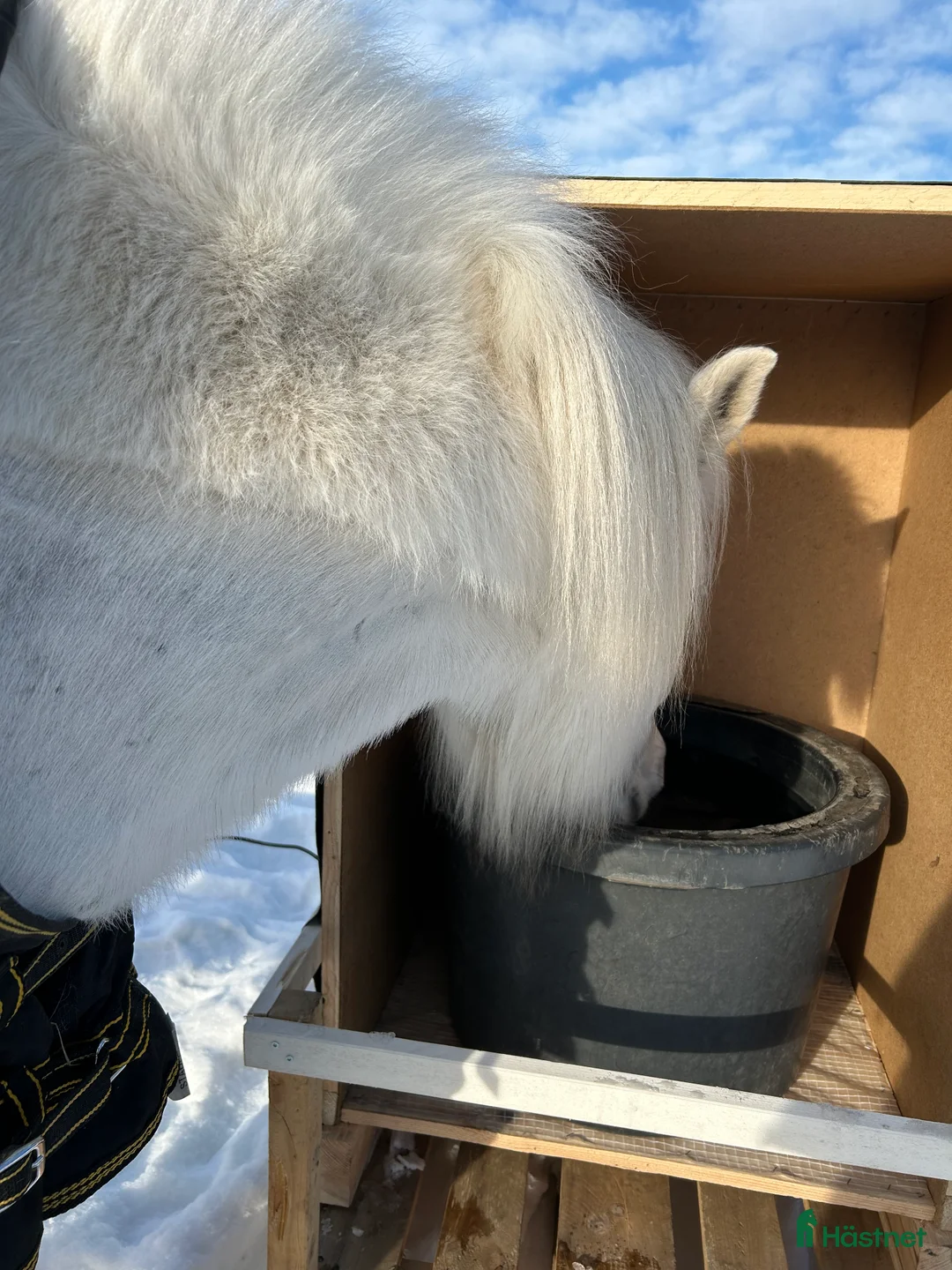  stallplats finnes: En stallplats alternativt 2 lösdriftplatser! - Annons 2