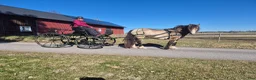 Körvagnar körning till salu: Fin vagn till salu - Annons 6