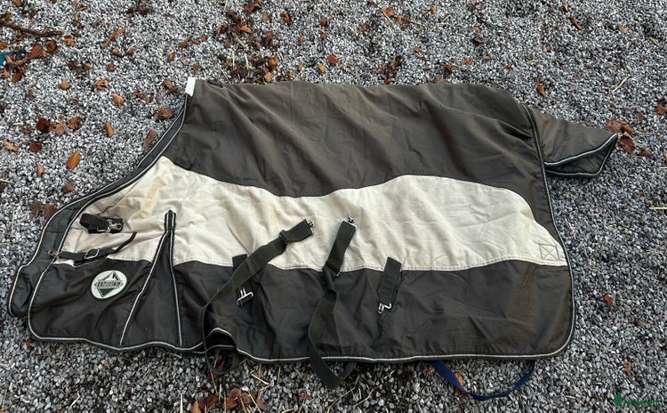 Täcken hästutrustning till salu i Höör - Annons 18