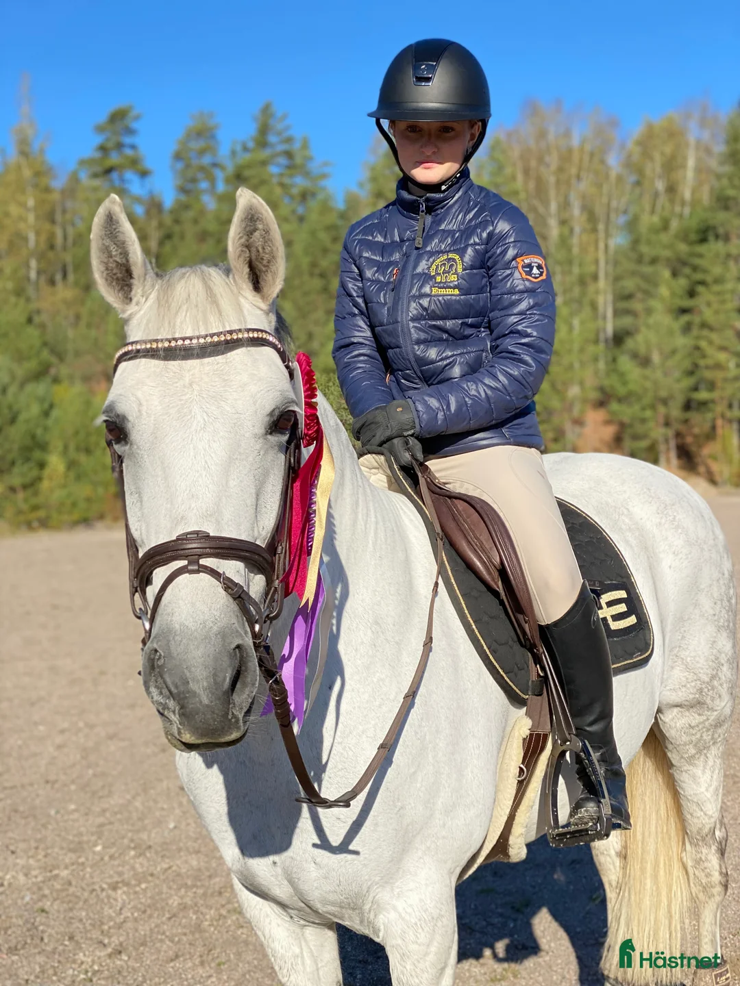 Allround hästar till salu: Trevlig allround D-ponny i Köping - Annons 3