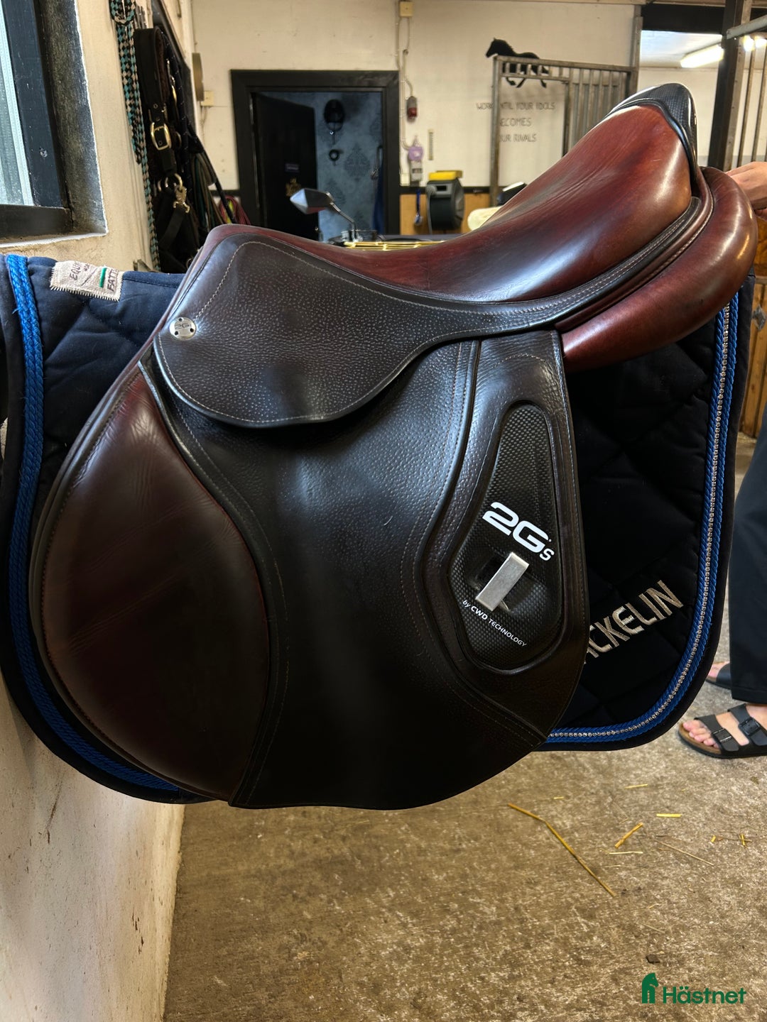 Sadlar hästutrustning till salu: Cwd 2GS i Olsfors - Annons 1