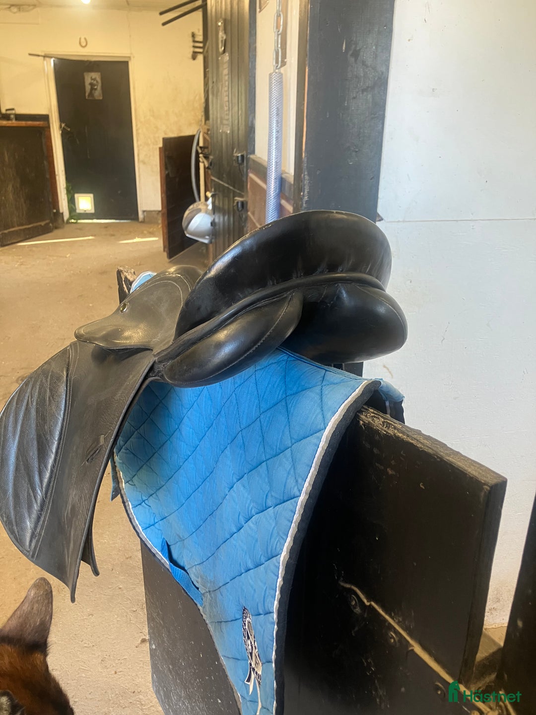 Sadlar hästutrustning till salu: Äldre allround sadel kingston i Söderköping - Annons 3