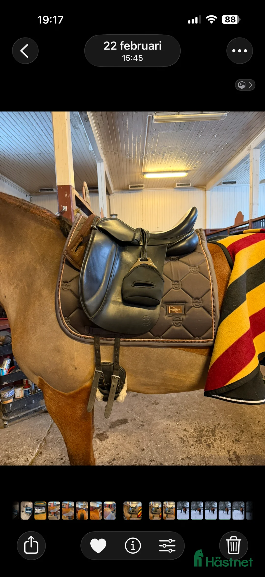 Sadlar hästutrustning till salu: Crown dressyrsadel i Stockholm - Annons 1