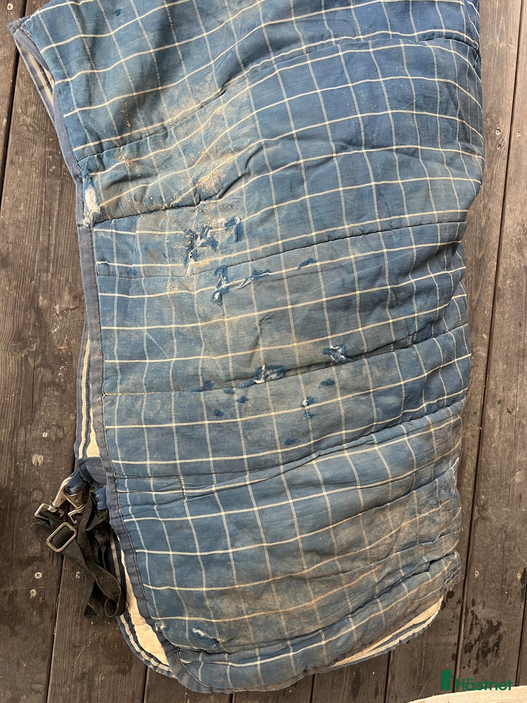 Täcken hästutrustning till salu: HW täcken i Enköping - Annons 14