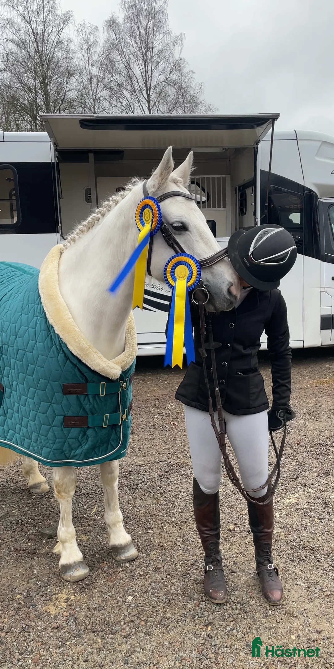 Hoppning hästar till salu: Sockersöt hopponny i Degerhamn - Annons 2