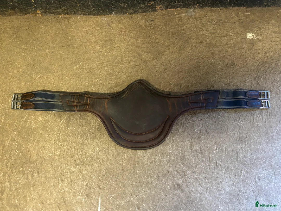 Sadeltillbehör hästutrustning till salu: Bruno Delgrange hoppgjord  i Vinninga - Annons 5