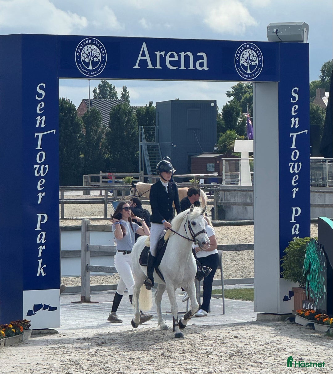 Hoppning hästar till salu: Topp kat.1 ponni til salgs i Bryne - Annons 14