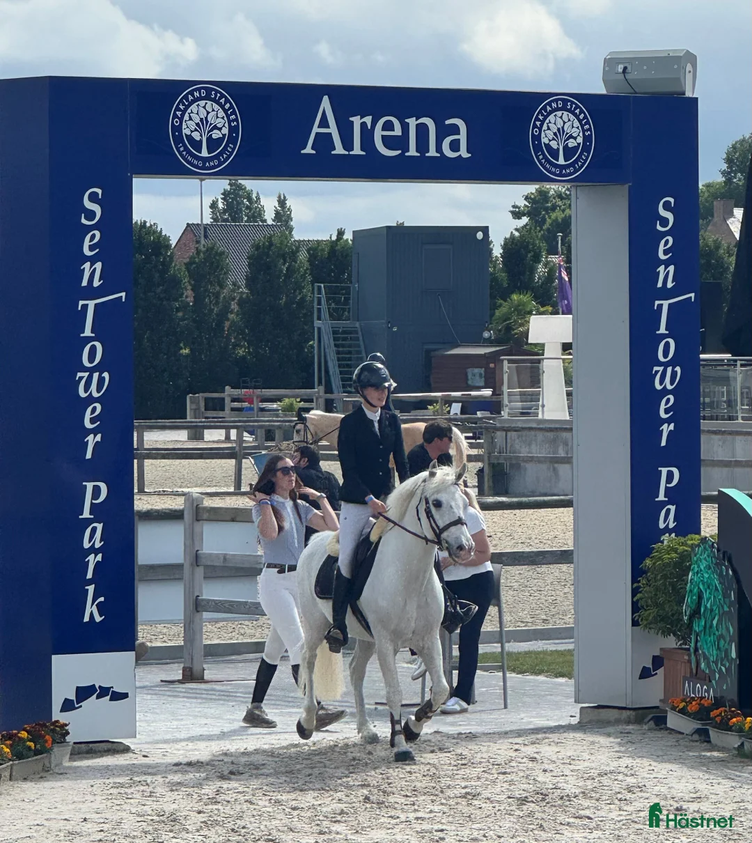 Hoppning hästar till salu: Topp kat.1 ponni til salgs i Bryne - Annons 14