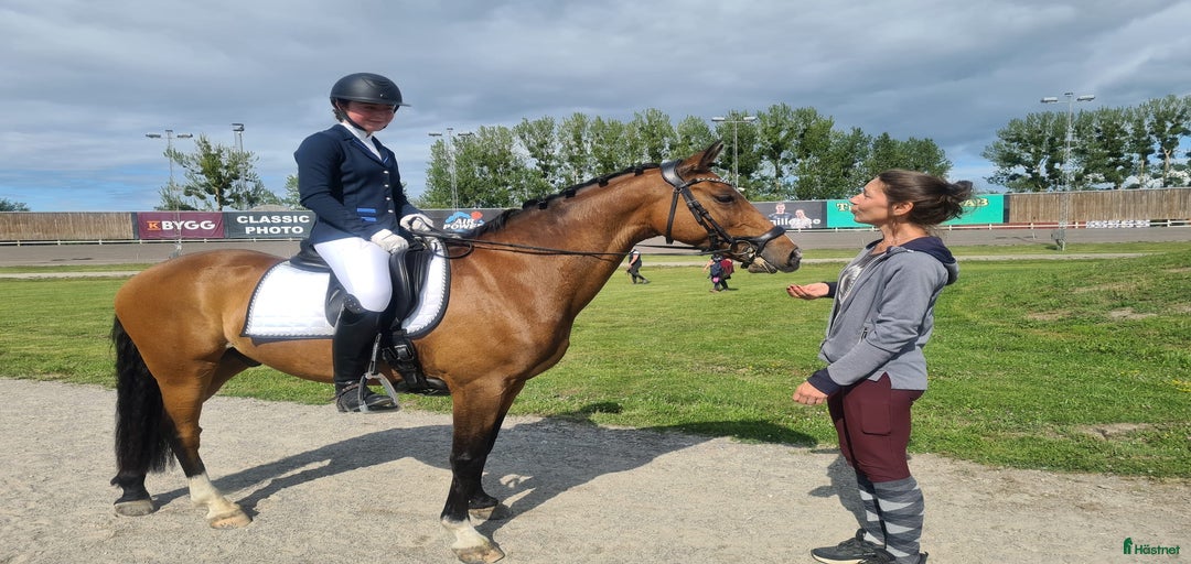 Galleribild {{count}}