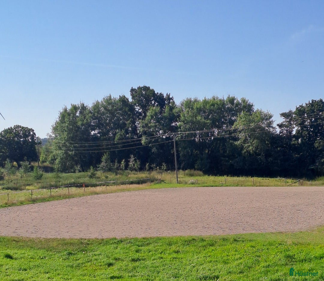  stallplats finnes: Boxplats  i Sjöbo - Annons 2