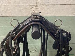 Körselar körning till salu: Remsele i Svenstavik - Annons 3