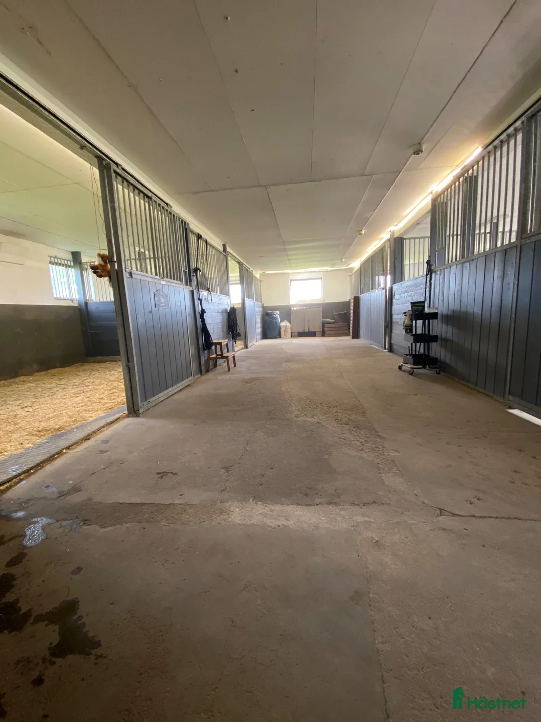  stallplats finnes: Stallplats med stora ytor i Fänestad!  i Forsheda - Annons 2