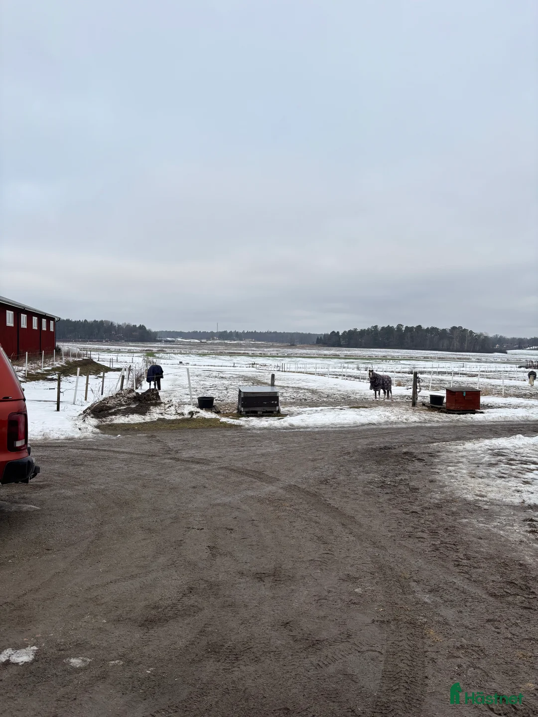  stallplats finnes: Ledig box för ponny på Lovön  i Drottningholm - Annons 4