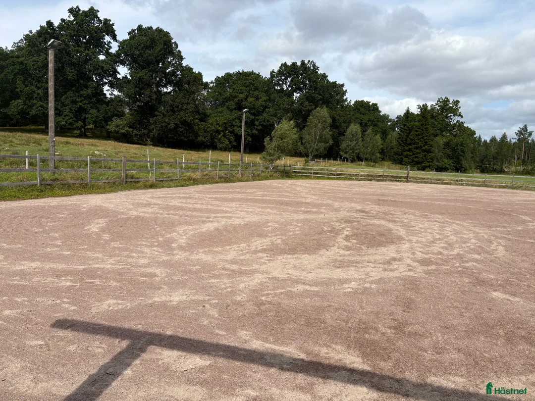  stallplats finnes: Stallplats i lösdriftsstall i Mjölby - Annons 6