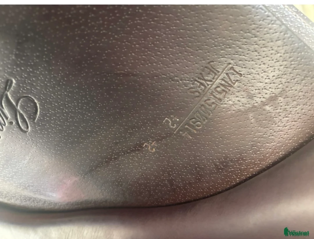 Sadlar hästutrustning till salu: Equipe Linnea sadel - Annons 5