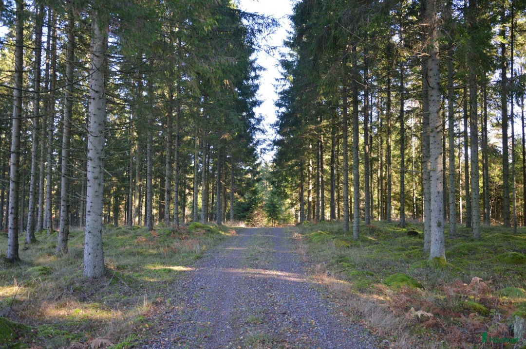  hästgårdar till salu: Kulls vingård i Hyltebruk - Annons 8