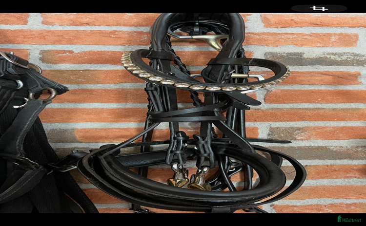 Träns hästutrustning till salu i Eskilstuna - Annons 18