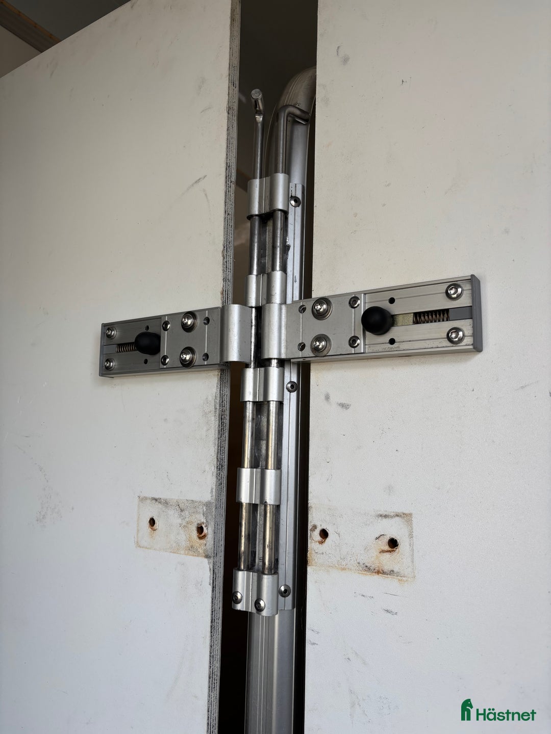 Hästtransporter  fordon & transport till salu: Fint Ume B50  i Hälsö - Annons 5