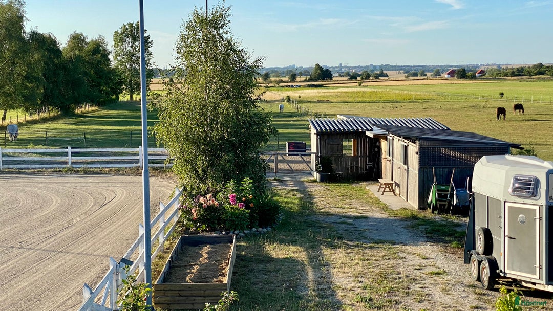  stallplats finnes: Litet & rofyllt!  i Staffanstorp - Annons 2