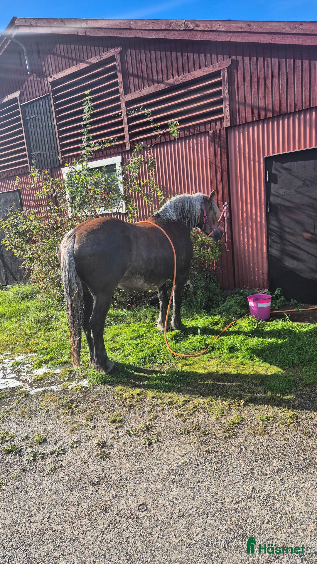  stallplats finnes: Boxplats i litet kollektiv i Vårsta  i Grödinge - Annons 10