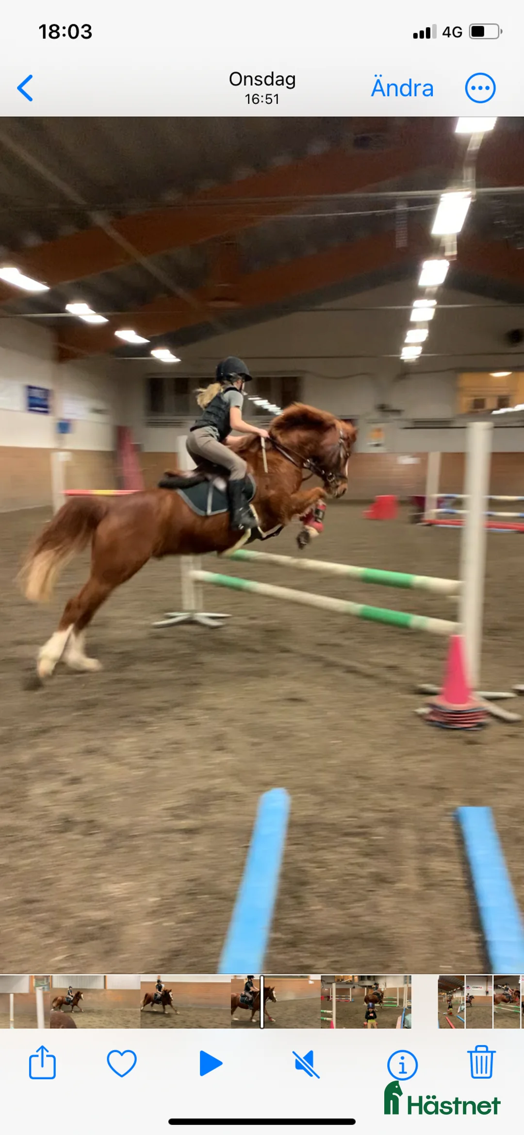 Hoppning hästar till salu: RacerRäka för de lägre klasserna 🏎️🦐 - Annons 1