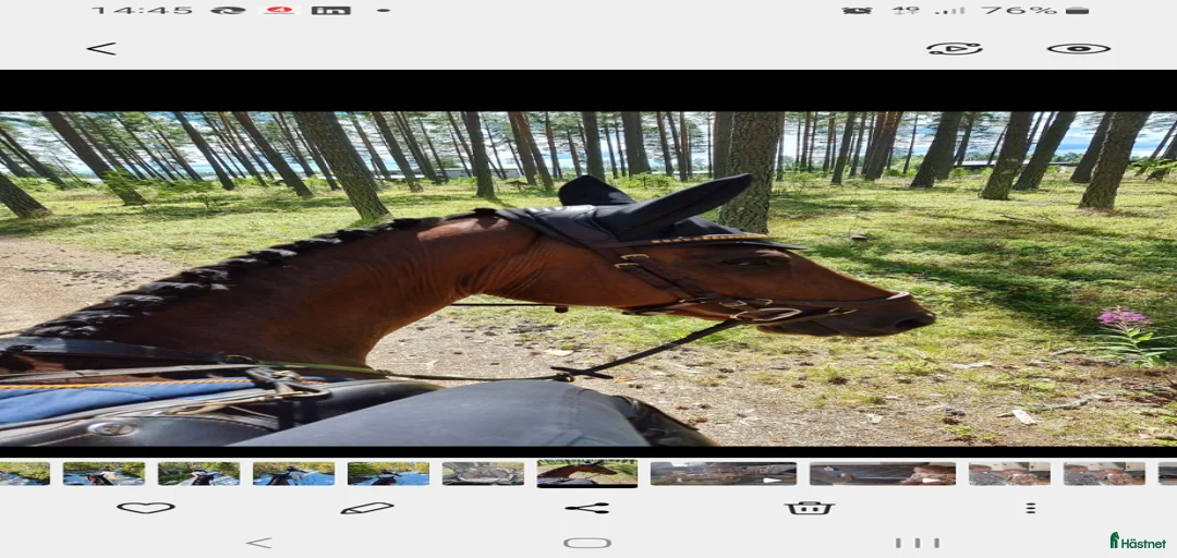 Galleribild {{count}}