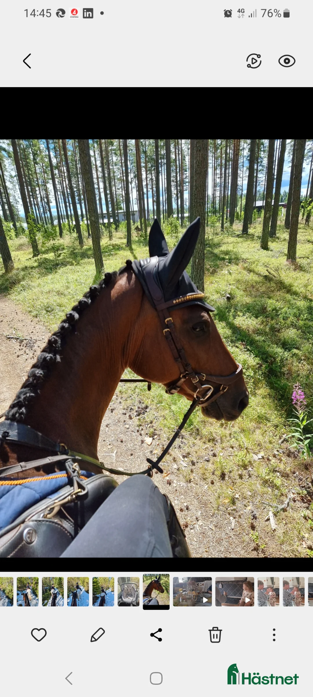 Galleribild {{count}}