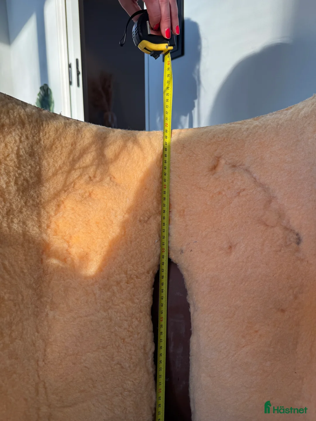 Sadlar hästutrustning till salu: Crates  i Enviken - Annons 14