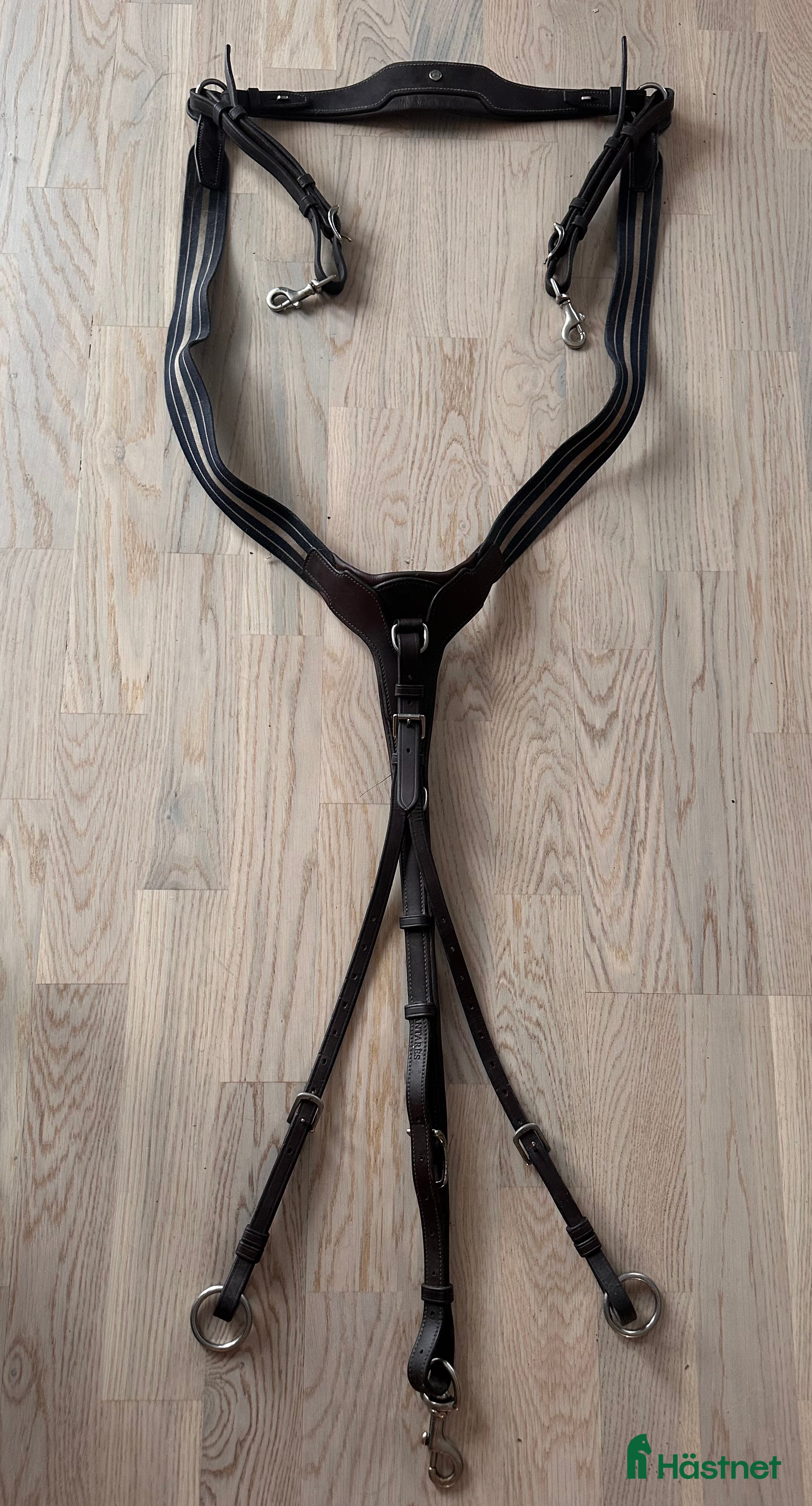 Övrig Hästutrustning hästutrustning till salu: Antarés förbygel med resår inklusive martingal. i Västervik - Annons 13