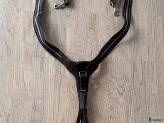 Övrig Hästutrustning hästutrustning till salu: Antarés förbygel med resår inklusive martingal. i Västervik - Annons 4