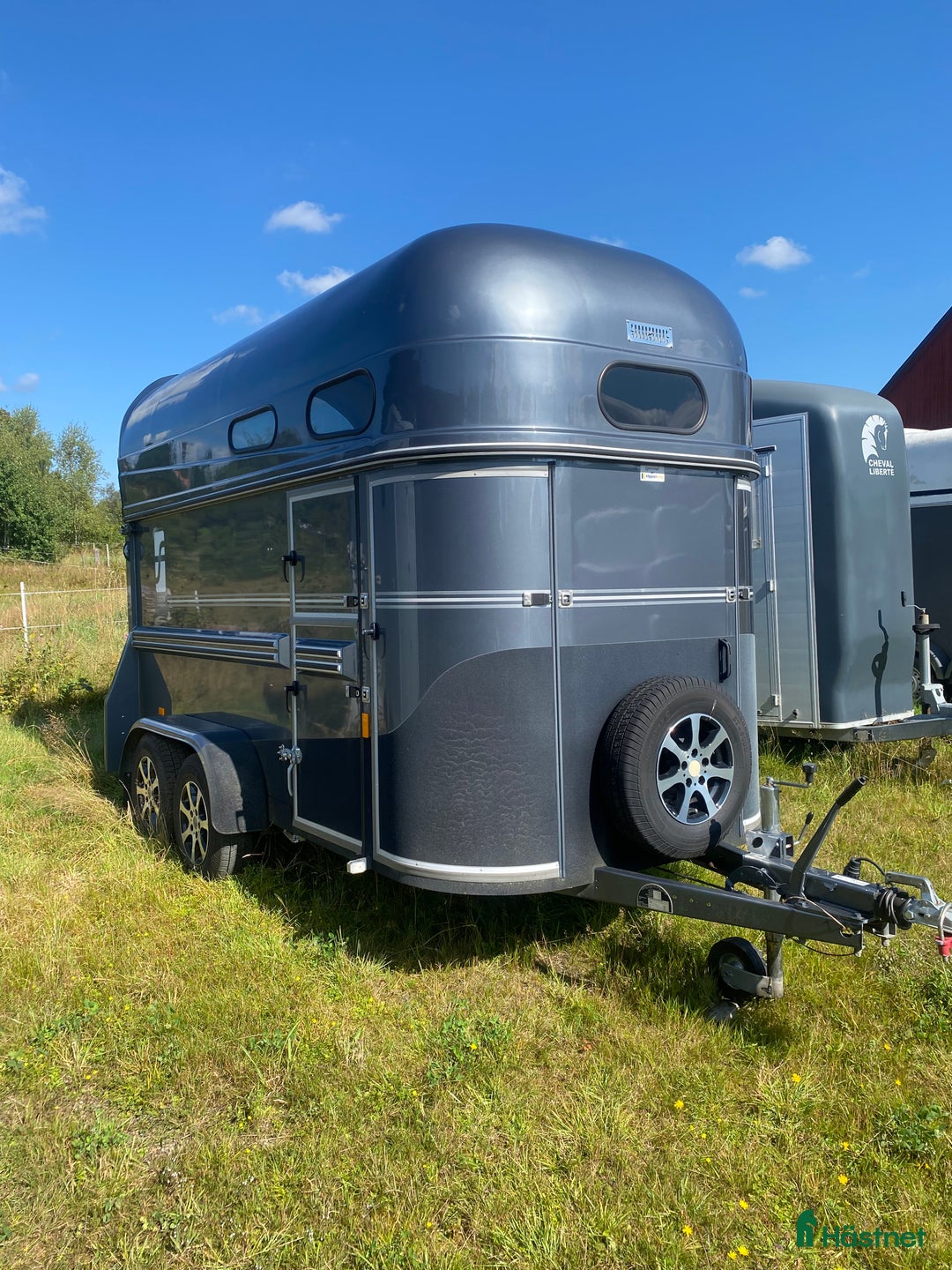 Hästtransporter  fordon & transport till salu: Forzab Classic i Älmhult - Annons 5