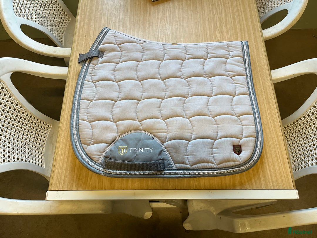 Schabrak & Vojlockar hästutrustning till salu: Dressyrschabrak  i Nossebro - Annons 1