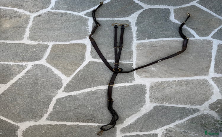 Övrig Hästutrustning hästutrustning till salu i Drottningholm - Annons 12