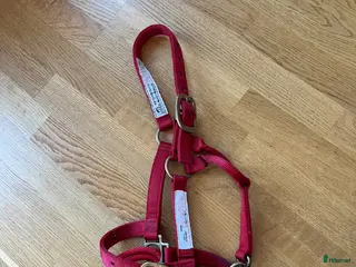 Övrig Hästutrustning hästutrustning Dually grimma Monty Roberts - Annons 1