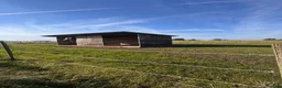  stallplats finnes: Stallplats finnes - Annons 5