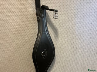 Sadeltillbehör hästutrustning till salu: Sadelgjord/hopp platta i Linneryd - Annons 5