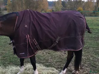 Täcken hästutrustning Haglunds fodrat regntäcke - Annons 2