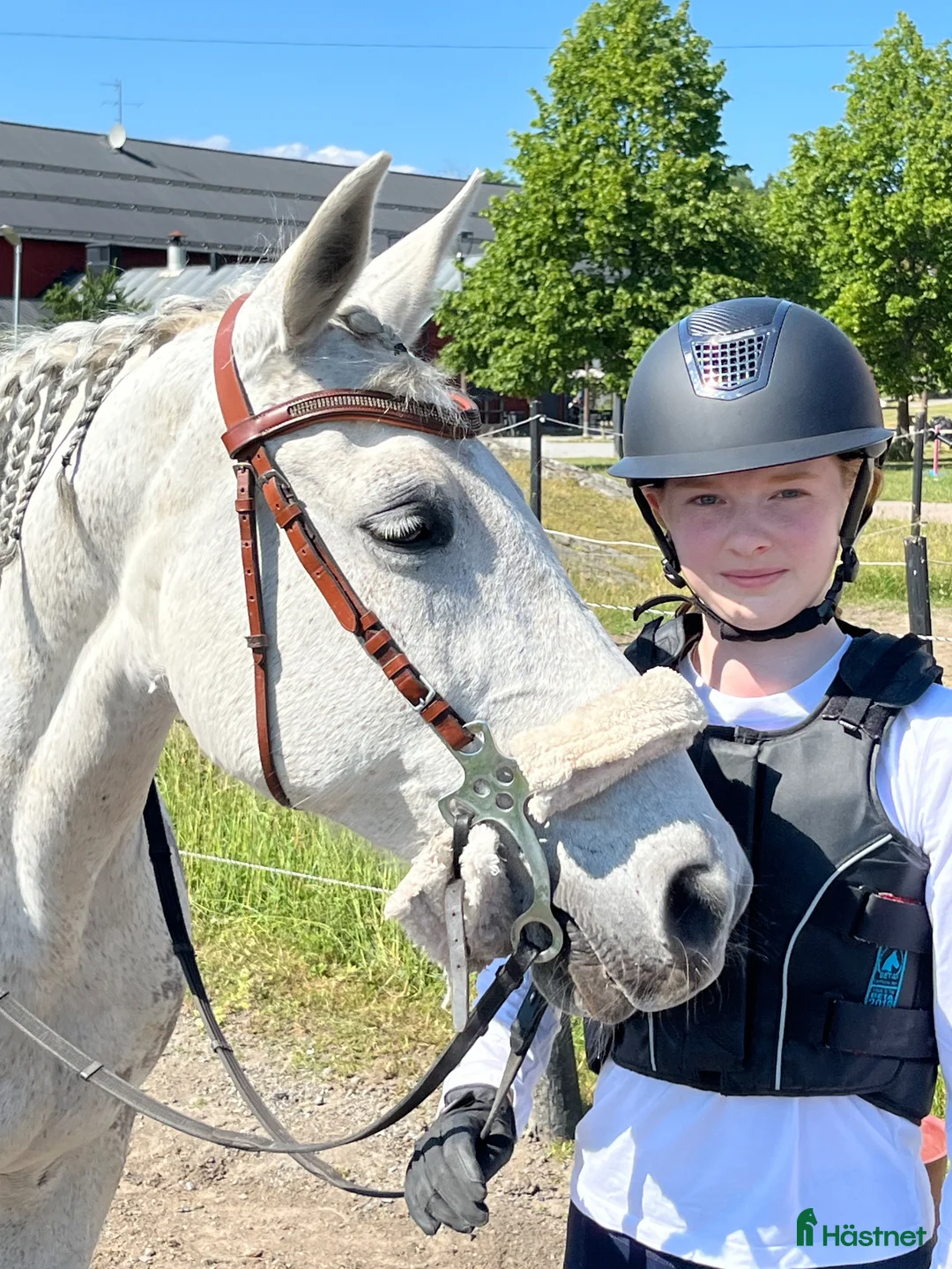  medryttarhäst sökes: Medryttarhäst sökes i Stockholm  i Stockholm - Annons 3