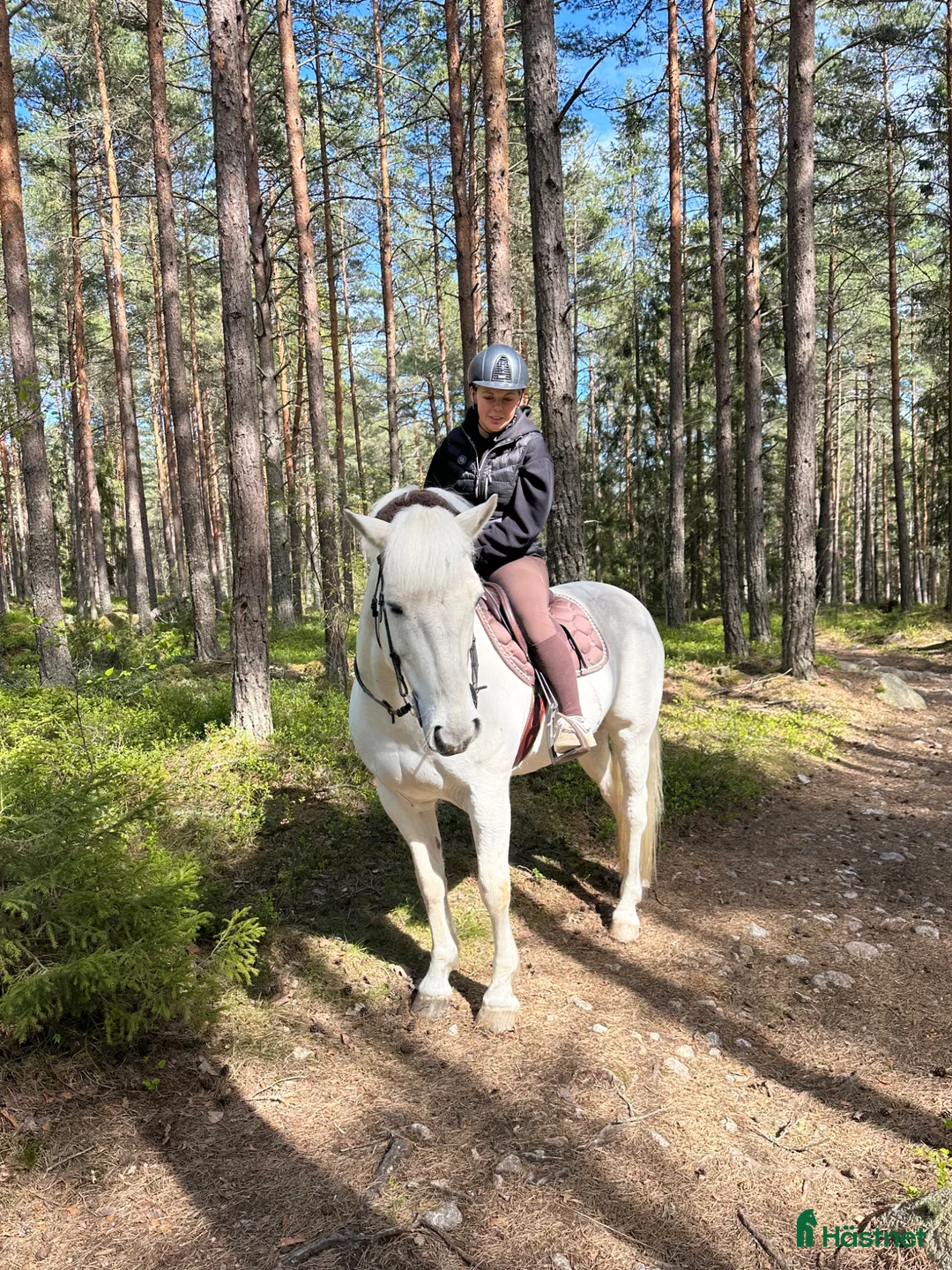  medryttarhäst finnes: Medryttare sökes till d-ponny i Norra Sorunda - Annons 3