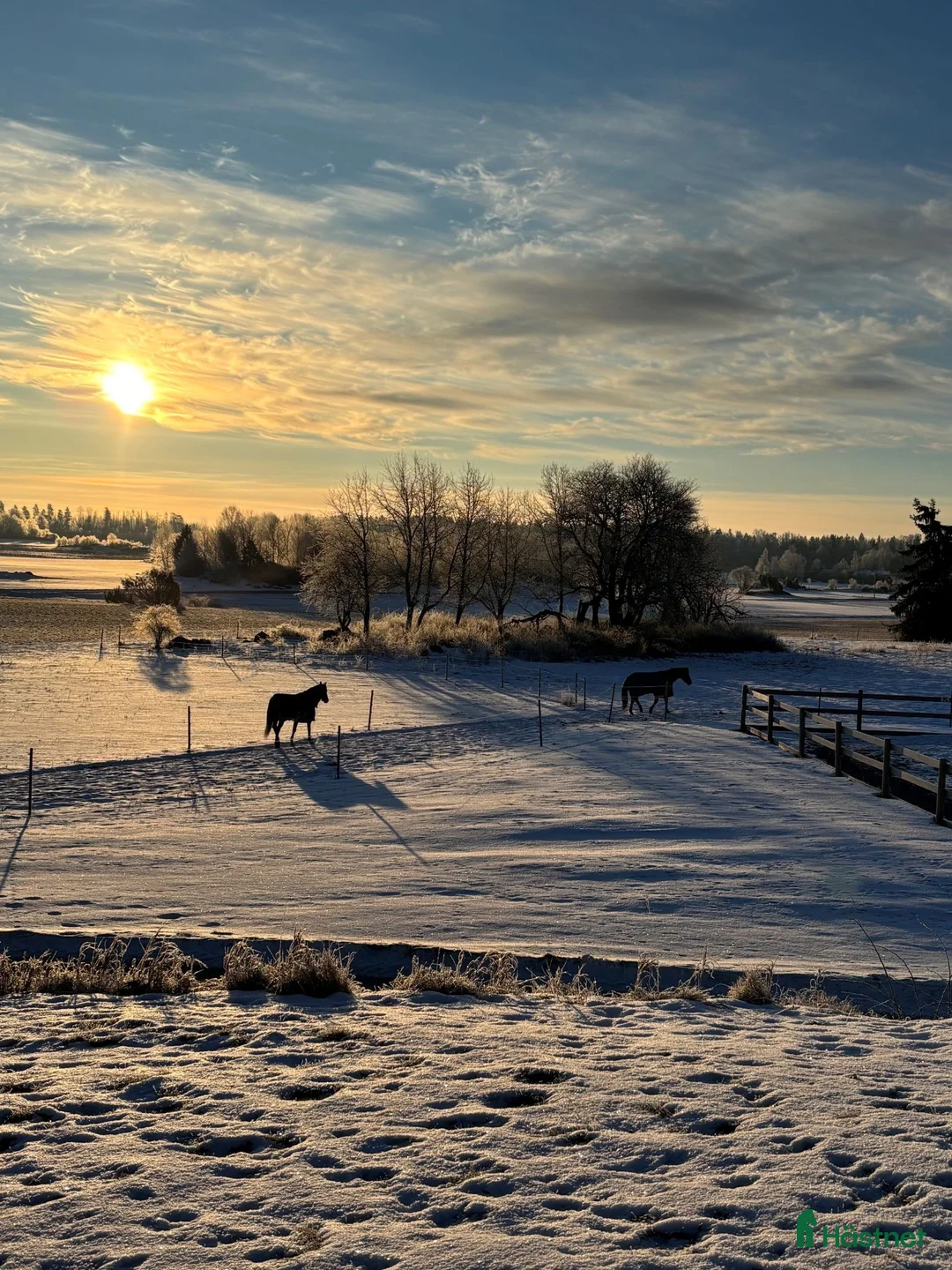  stallplats finnes: Ledig stallplats i Strängnäs  - Annons 2
